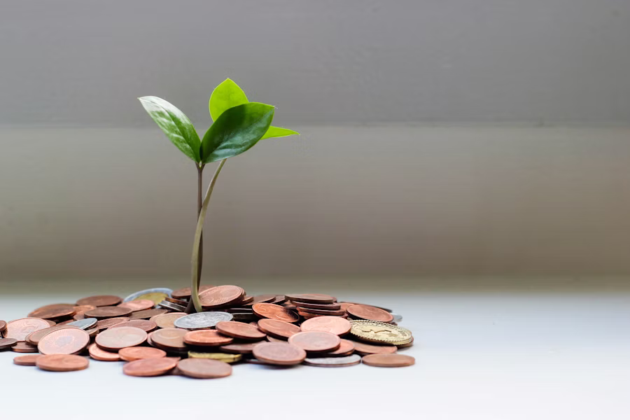 Plant growing in coins